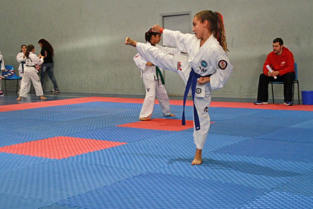 III Copa Seúl (15).jpg